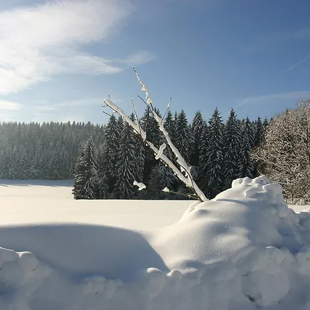 Lodge Jeleni Skladanka Lučany nad Nisou