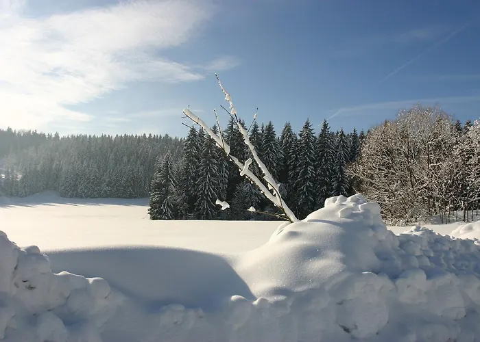Jaktstuga Jeleni Skladanka Lučany nad Nisou